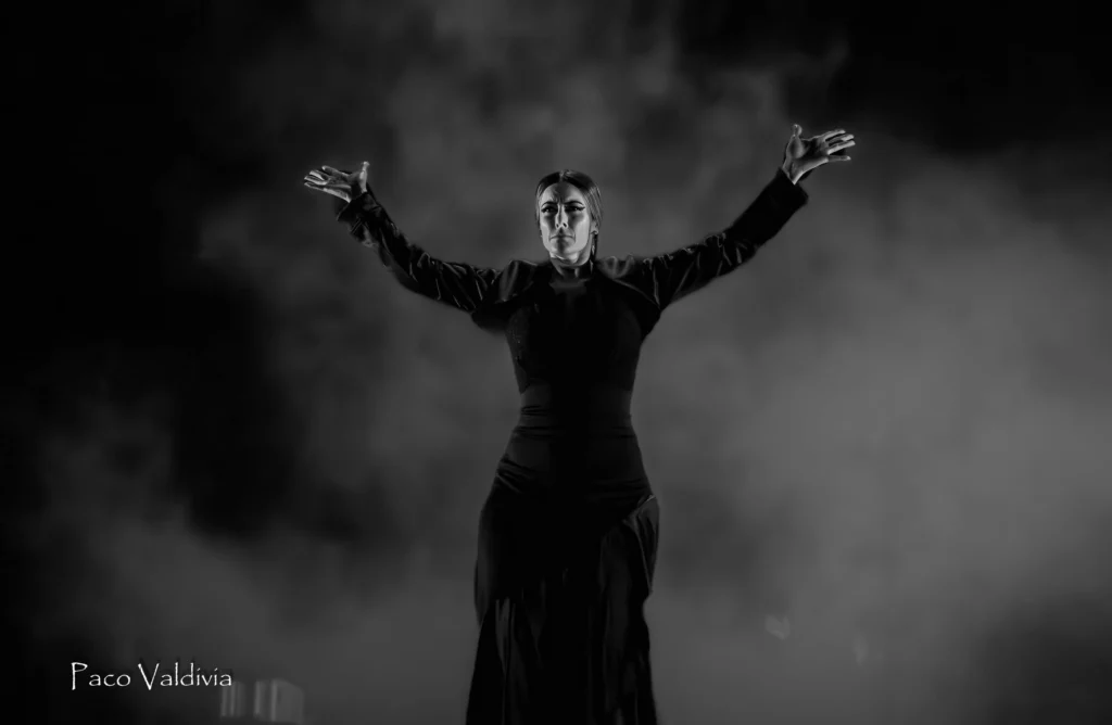 Virginia Martín Espectáculo